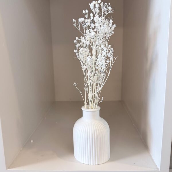 אגרטל פסים – עם פרחים יבשים