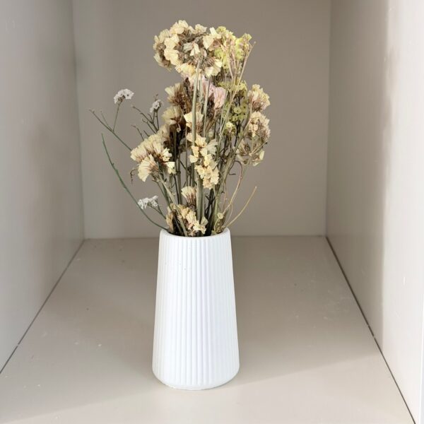 אגרטל ריב – עם פרחים יבשים